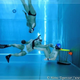 Illustration for article titled Why is underwater rugby the new generation of water sports, and where should you try it?